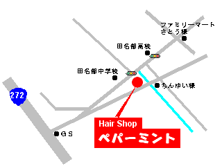 Hair Shop �y�p�[�~���g�@�}�b�v