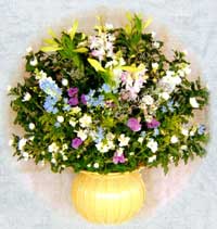 盛花